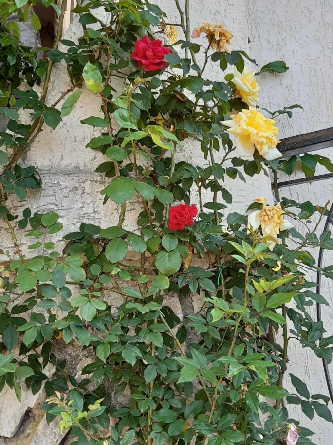 Bressa De Ma Affittacamere, Room & Breakfast Pietra Ligure Exterior photo